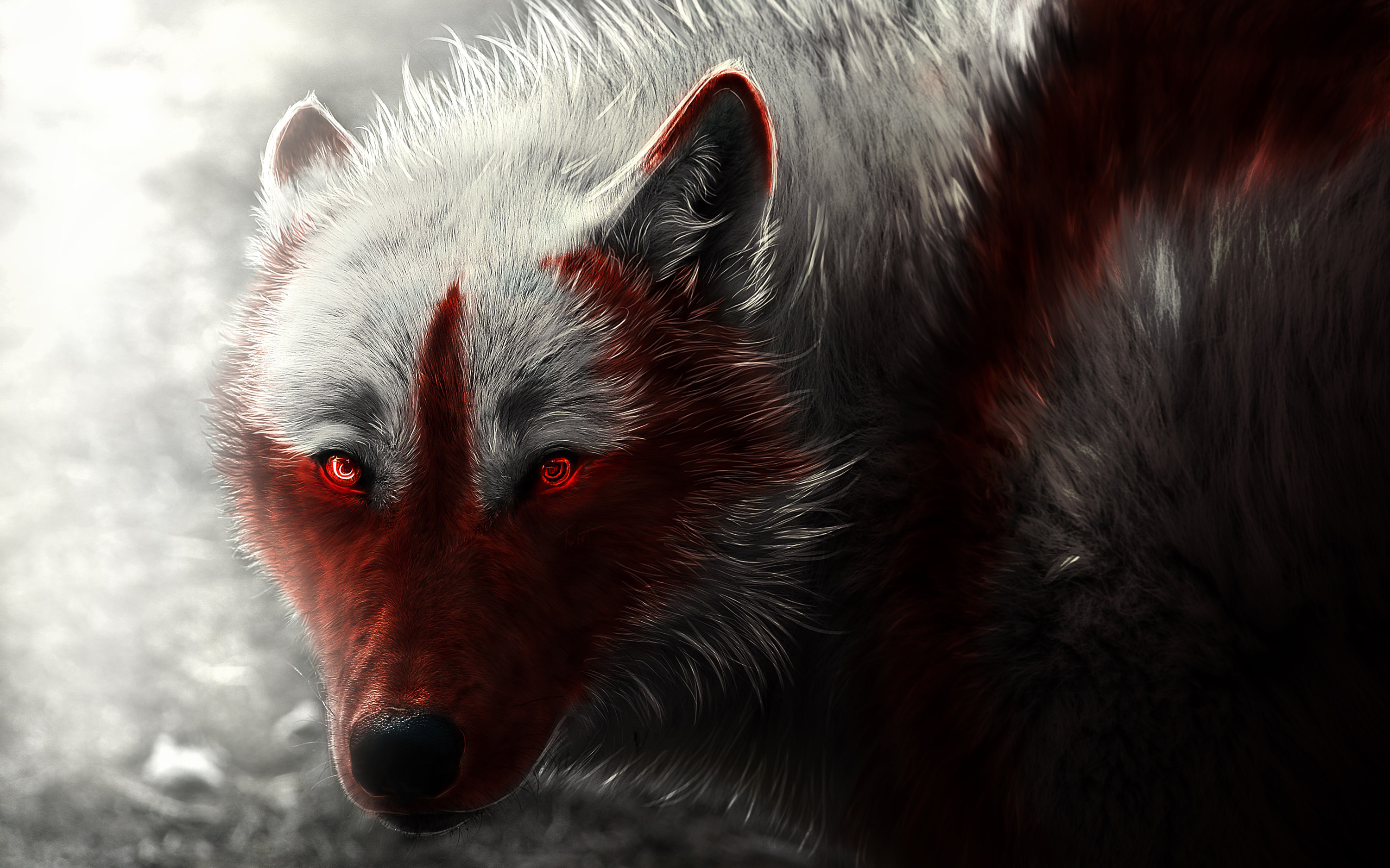 Scary Wolf Wallpapers