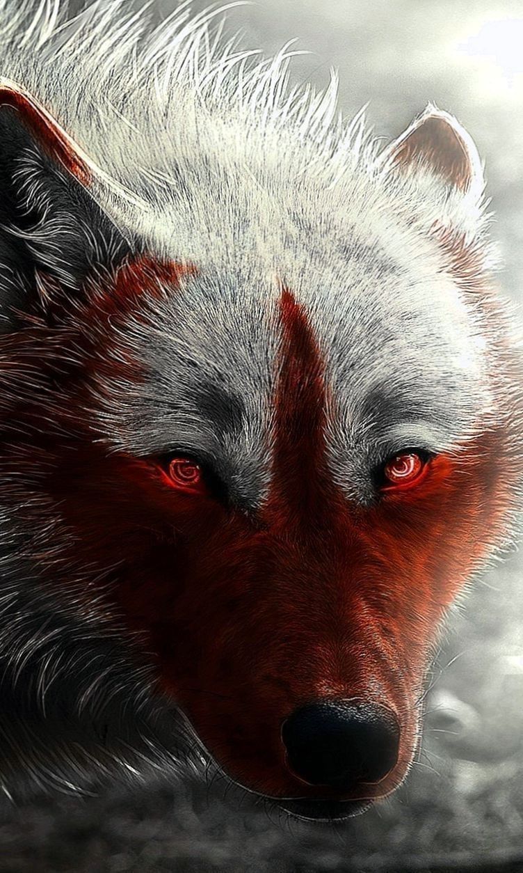 Scary Wolf Wallpapers