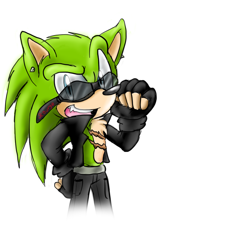 Scourge The Hedgehog Wallpapers