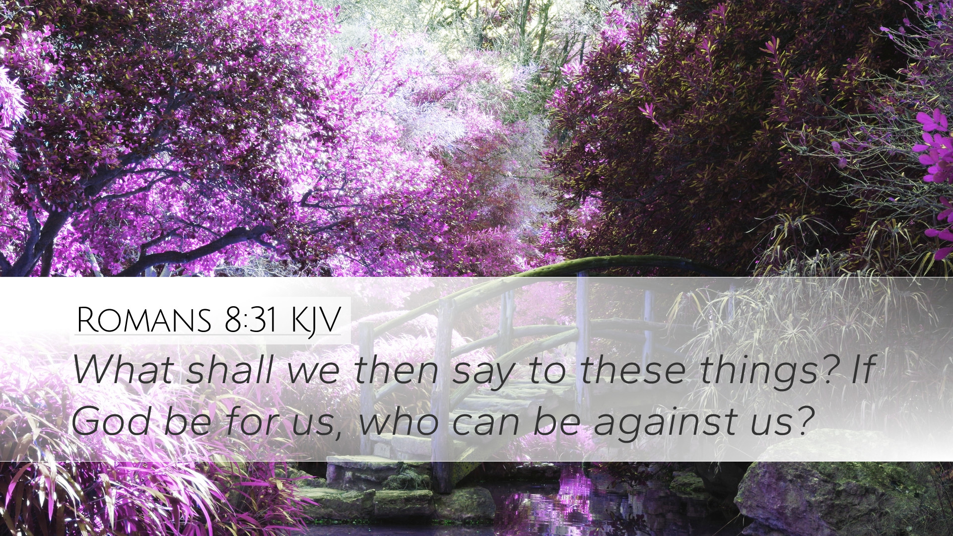 Scripture Wallpapers