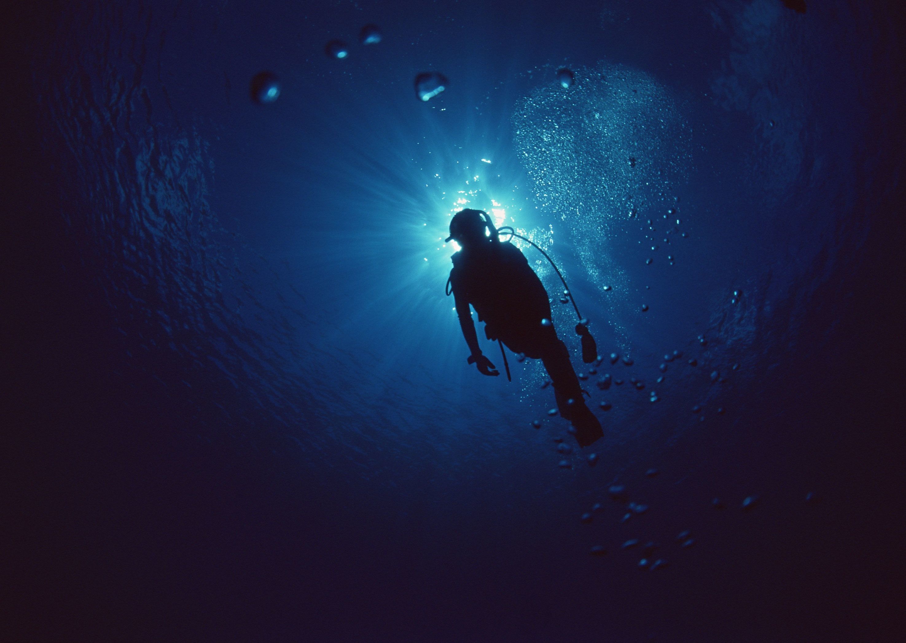 Scuba Dive Wallpapers