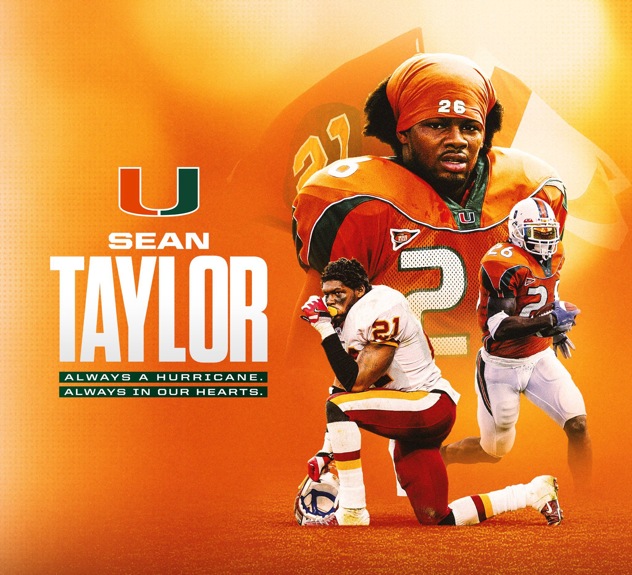 Sean Taylor Wallpapers