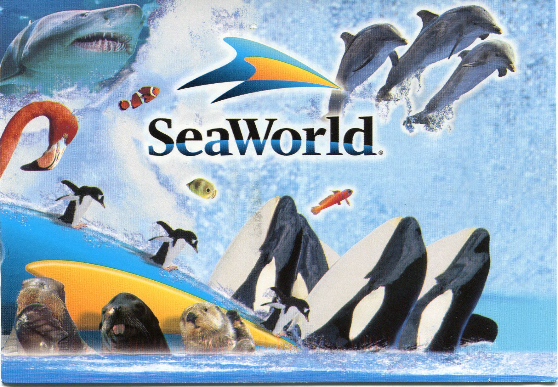 Seaworld Wallpapers
