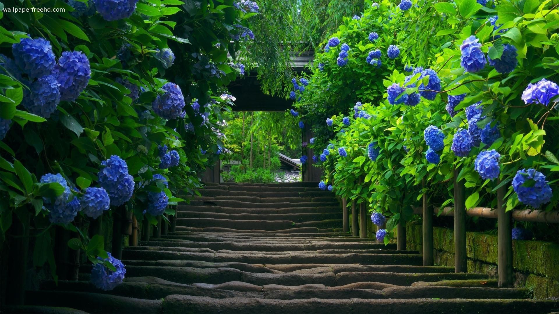 Secret Garden Wallpapers