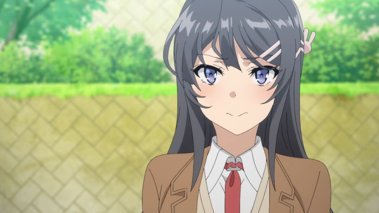 Seishun Buta Yarou Wa Bunny Girl Senpai No Yume Wo Minai Wiki Wallpapers