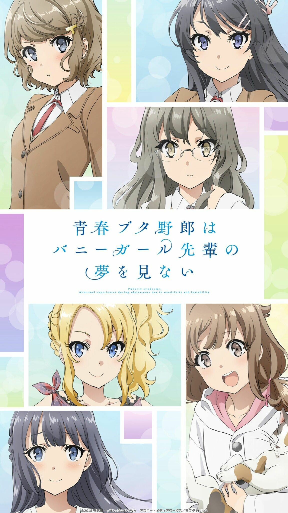 Seishun Buta Yarou Wa Bunny Girl Senpai No Yume Wo Minai Wiki Wallpapers