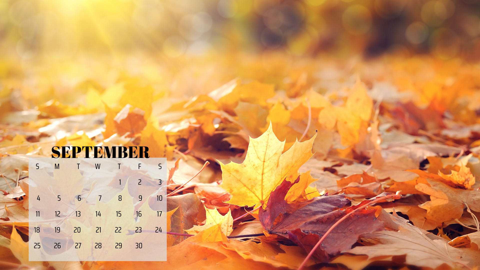 September Desktop Wallpapers