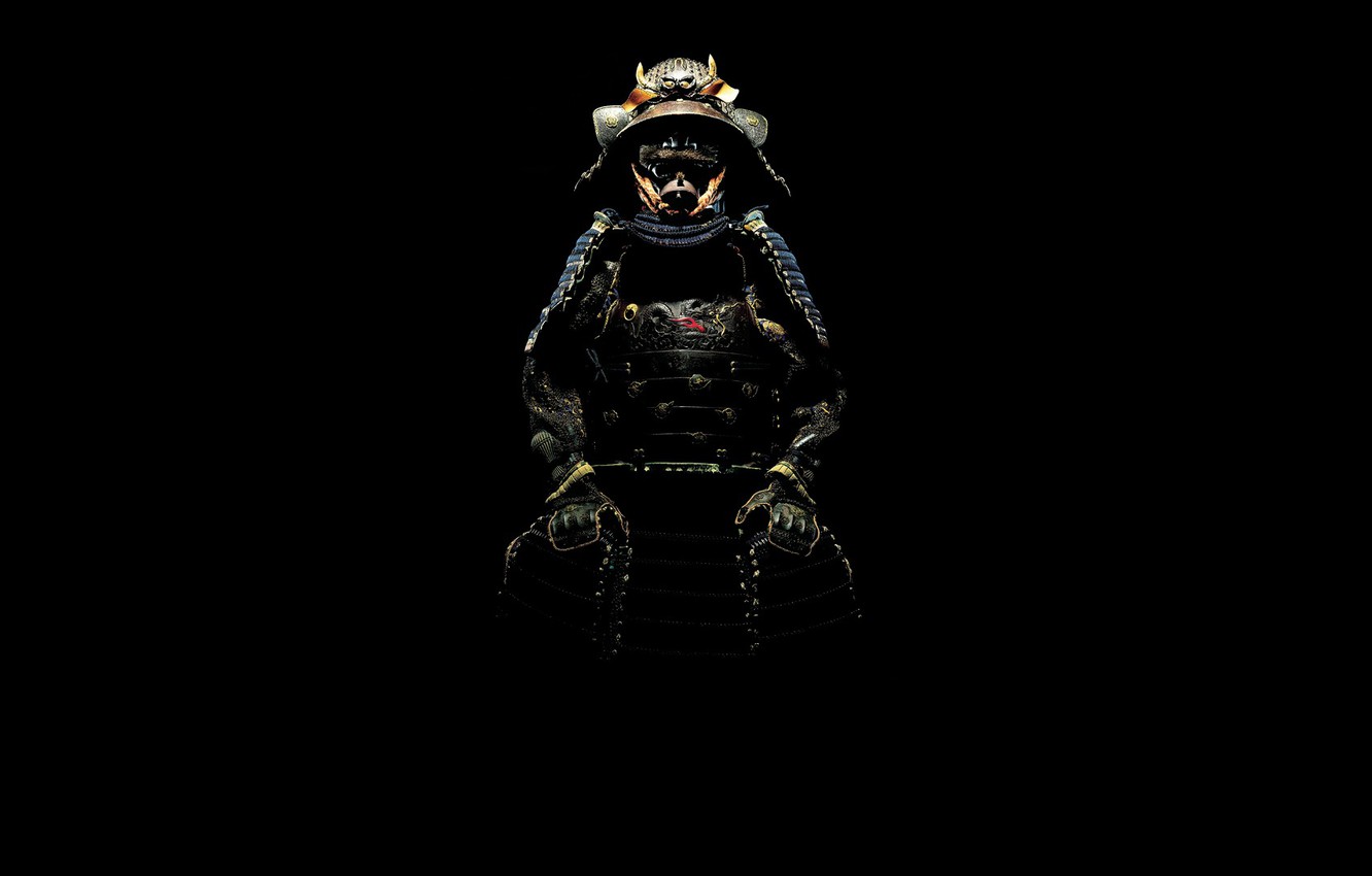 Shadow Samurai Wallpapers