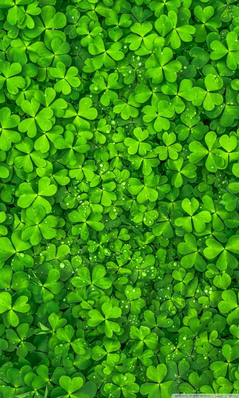 Shamrock Iphone Wallpapers