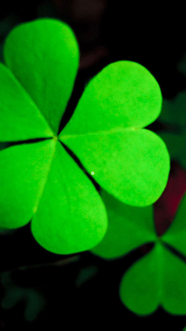 Shamrock Iphone Wallpapers