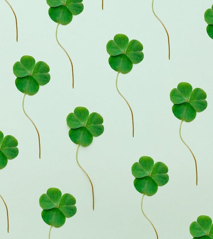 Shamrock Wallpapers