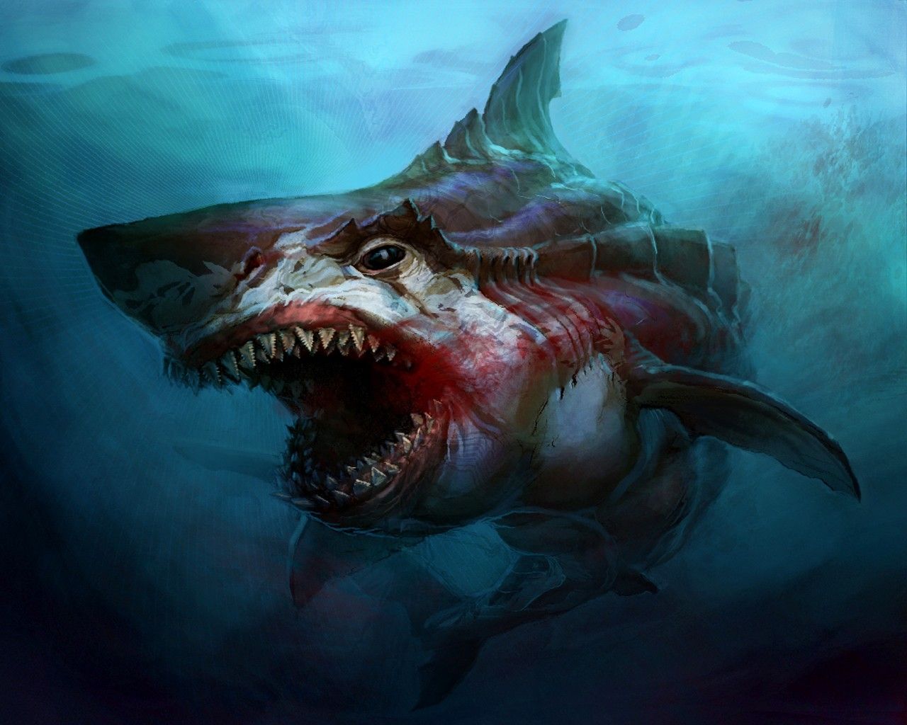 Sharks Scary Wallpapers