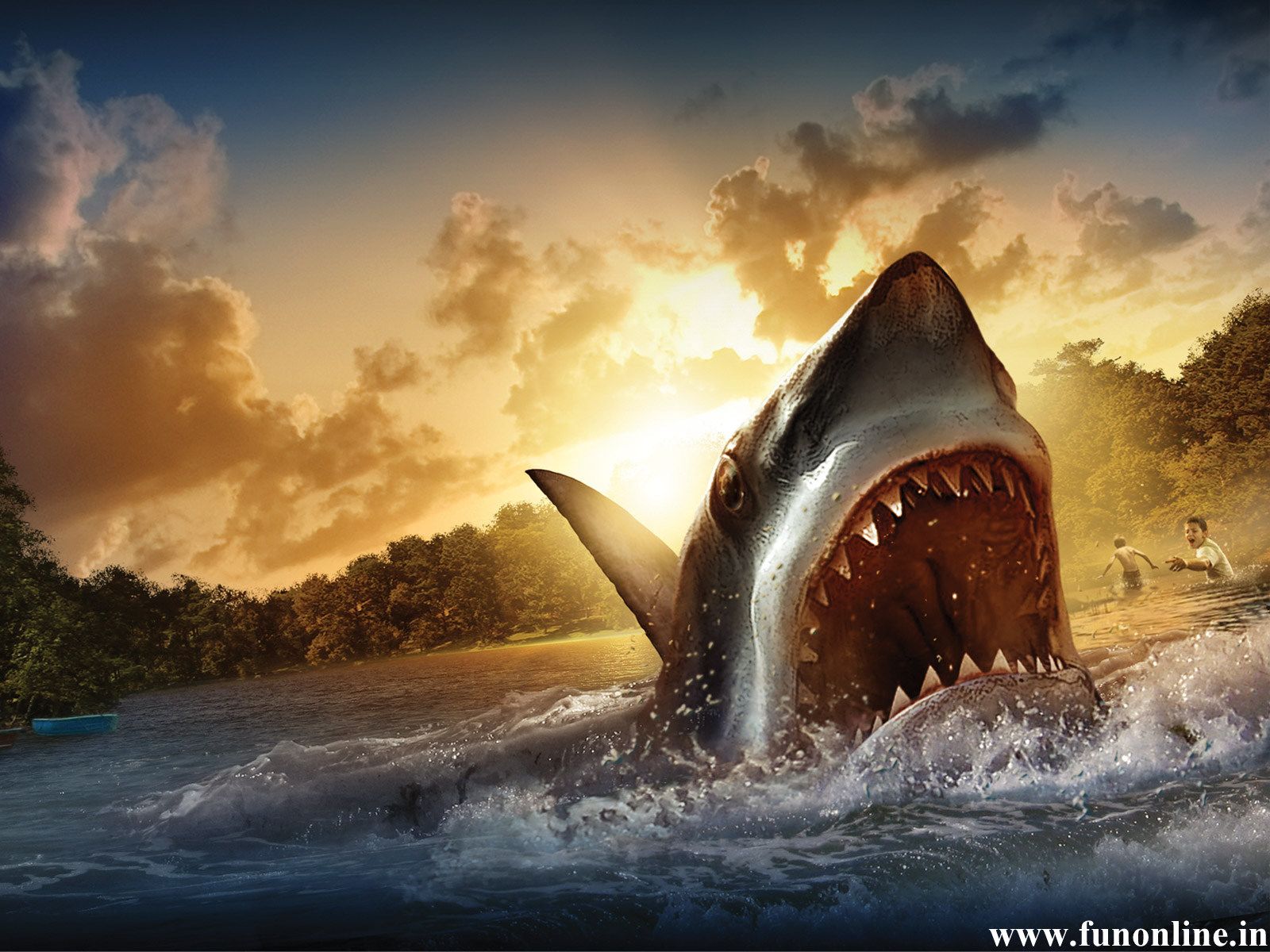 Sharks Scary Wallpapers