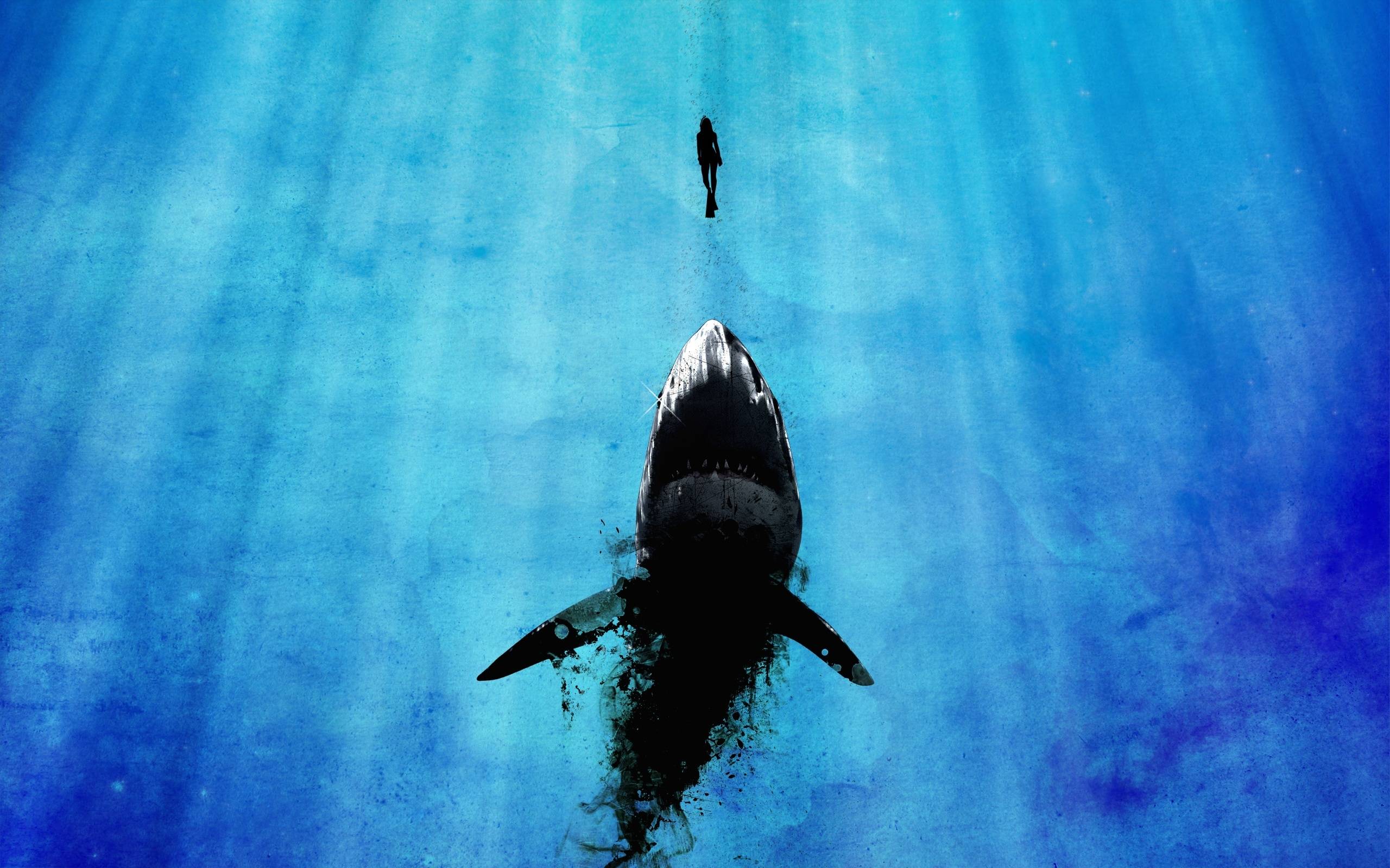 Sharks Scary Wallpapers