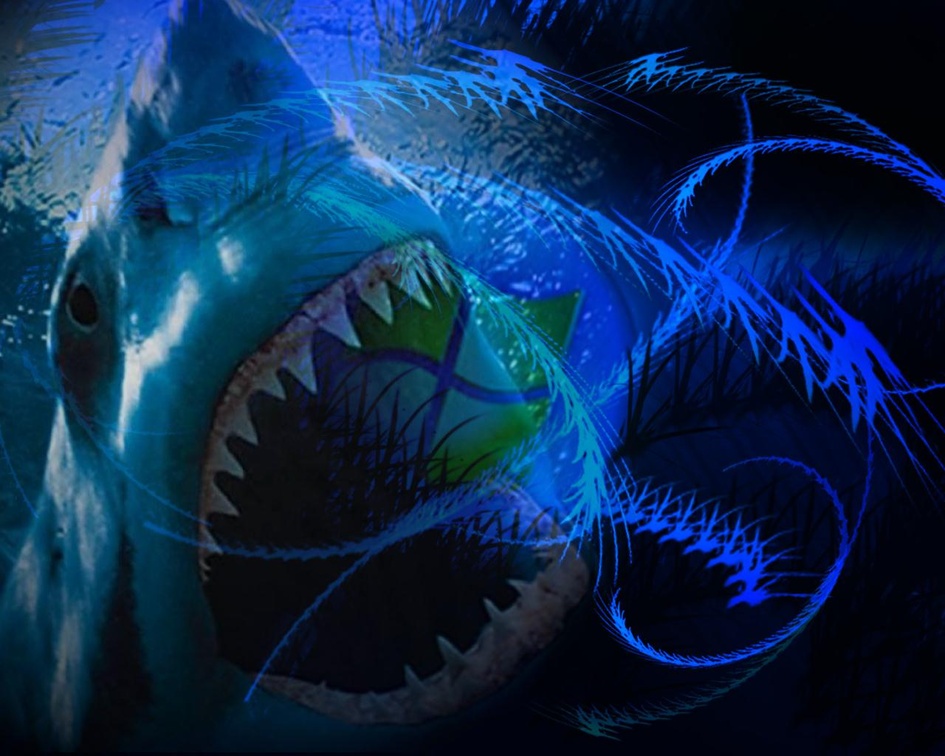 Sharks Scary Wallpapers