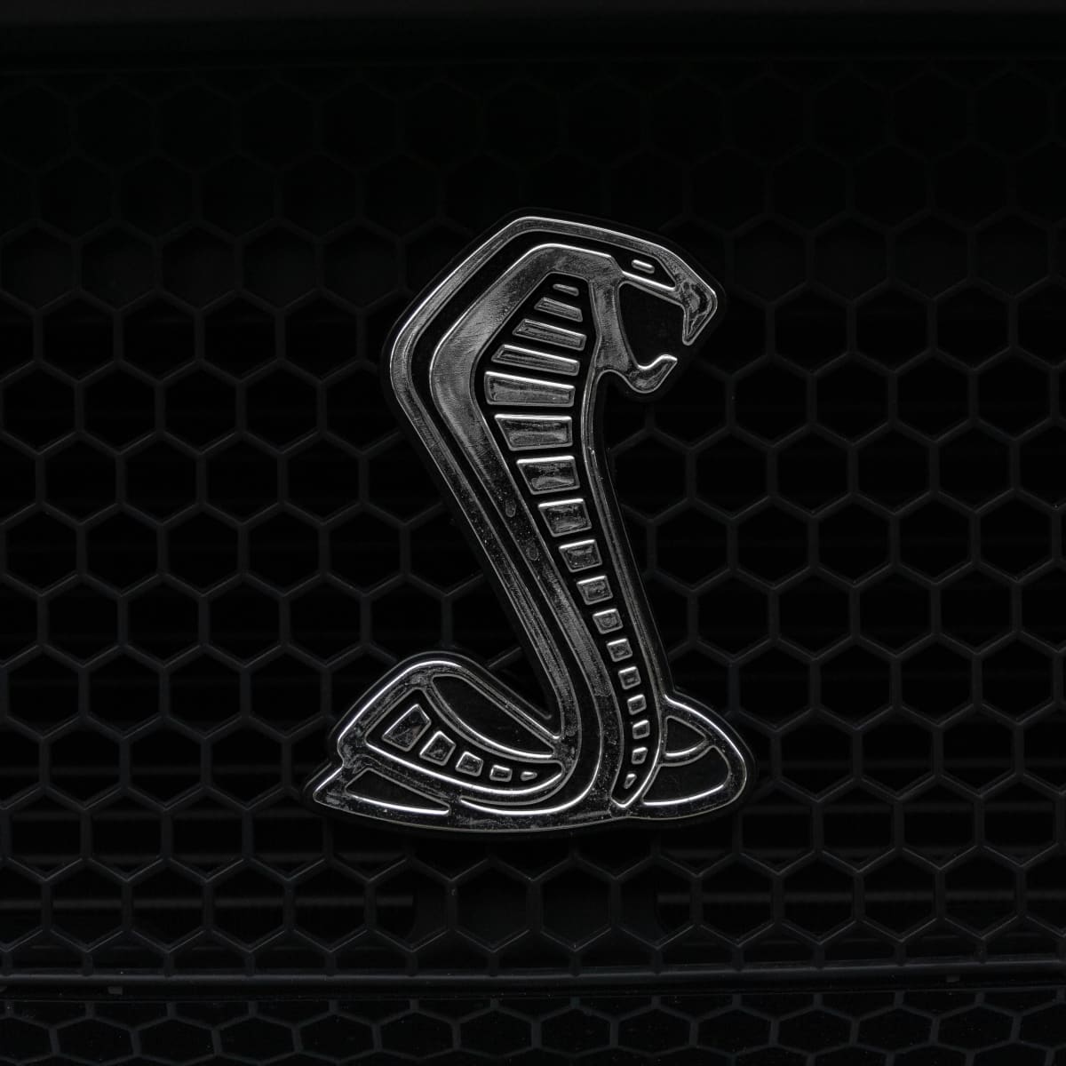 Shelby Logo Wallpapers on Ewallpapers