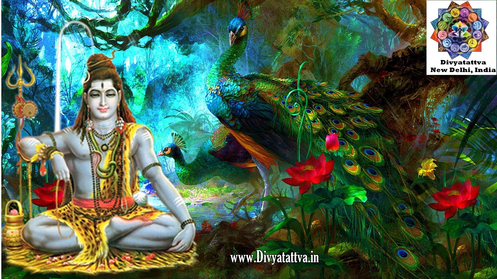 Shiv Shakti Images Wallpapers