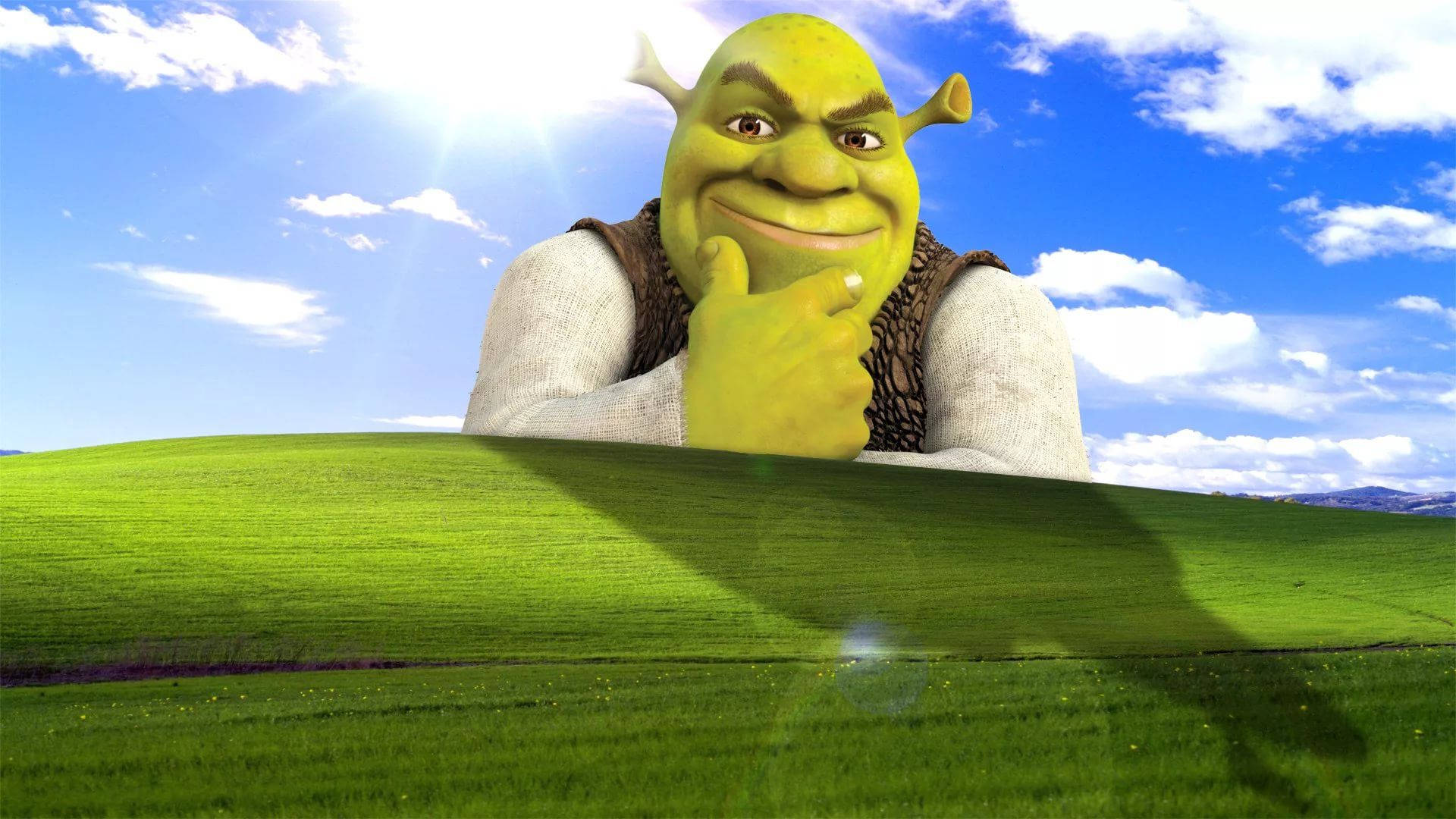 Shrek Funny Pictures Wallpapers