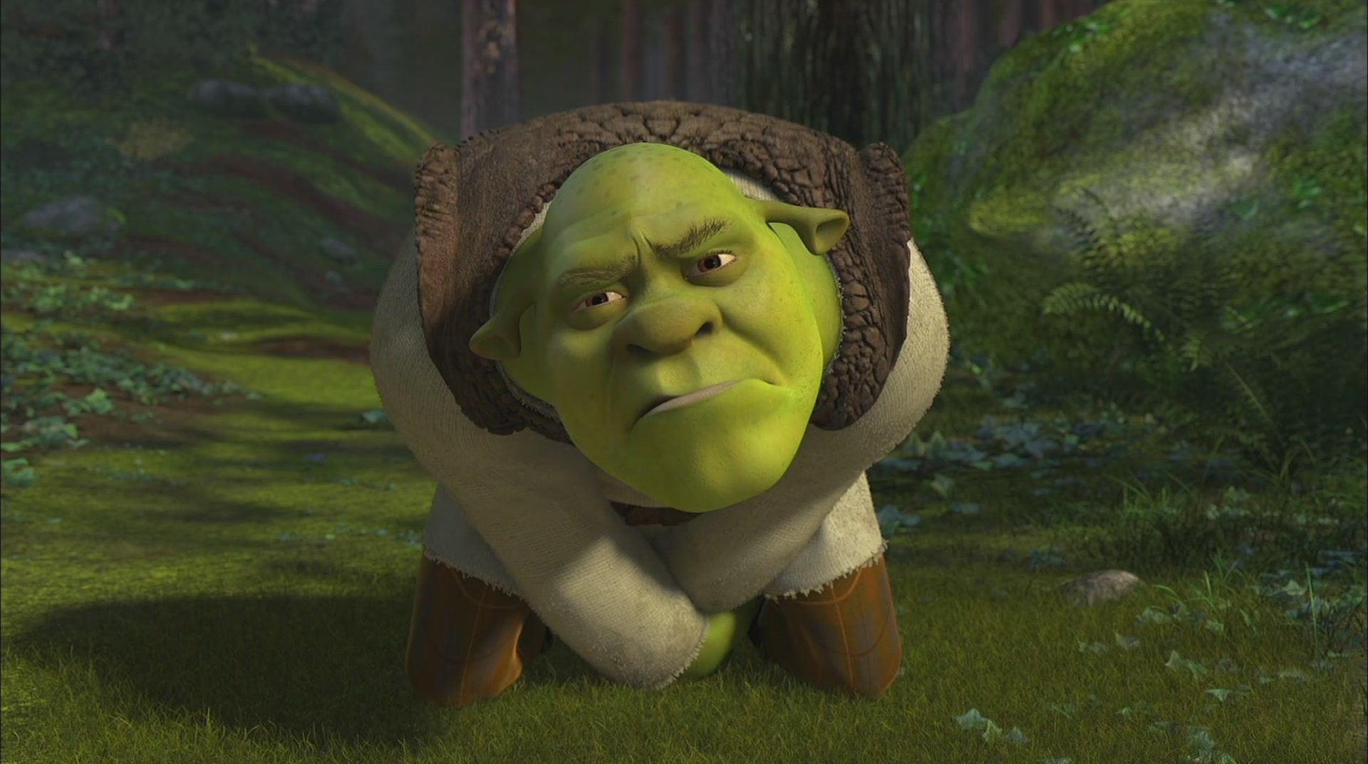 Shrek Funny Pictures Wallpapers