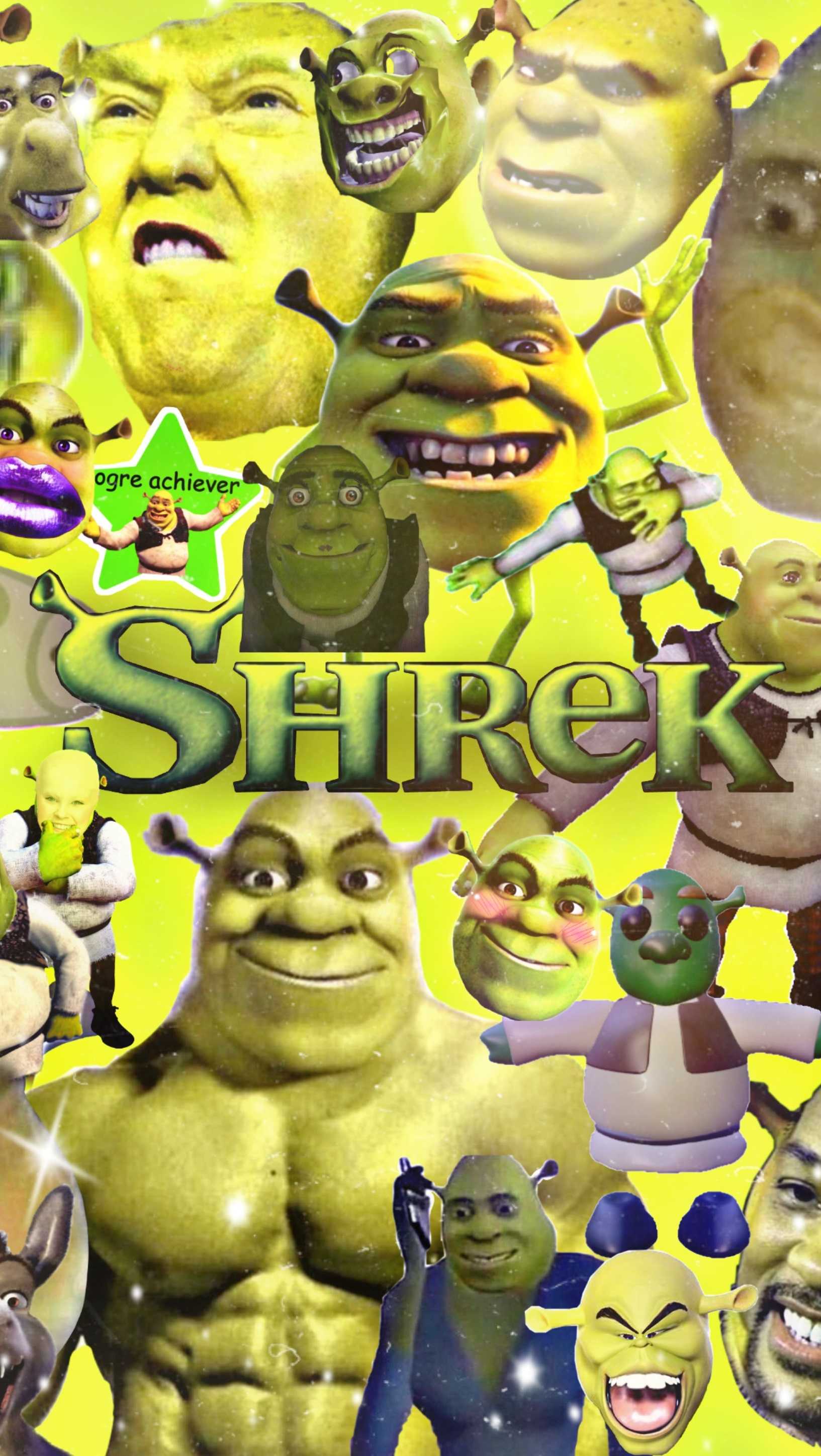 Shrek Funny Pictures Wallpapers