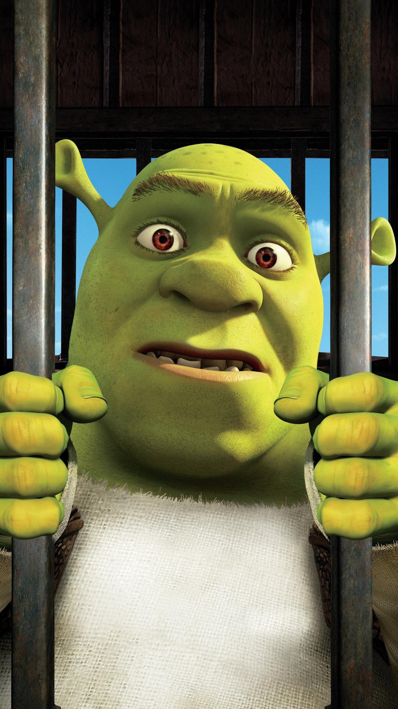 Shrek Funny Pictures Wallpapers