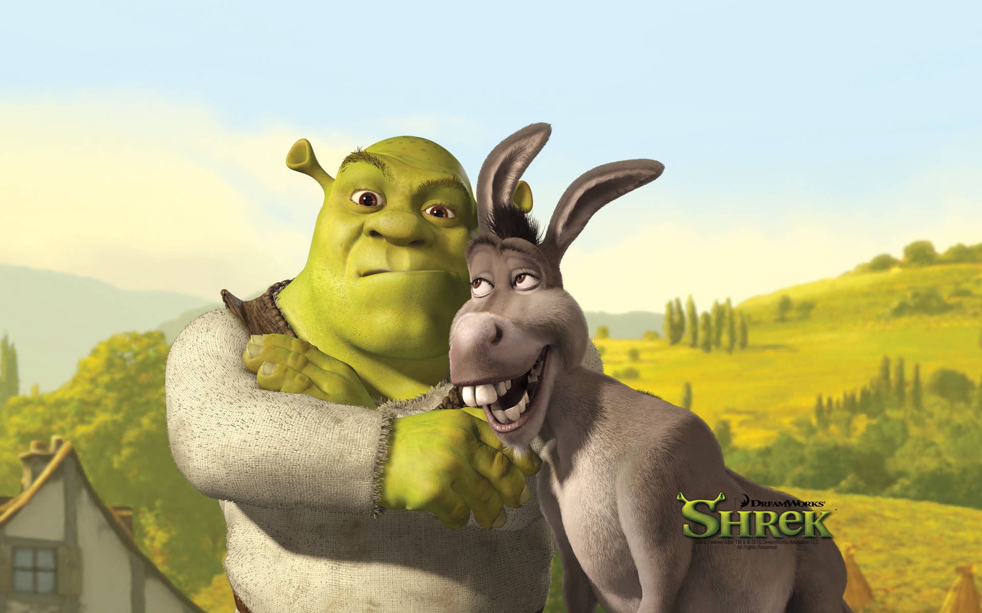 Shrek Funny Pictures Wallpapers