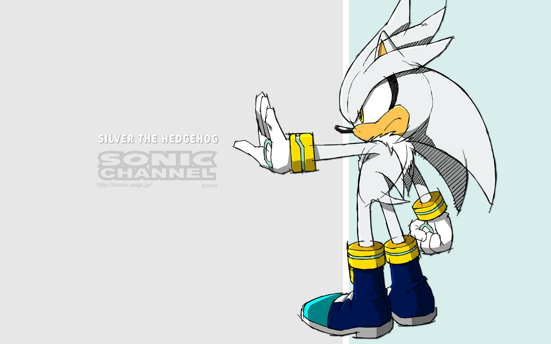 Silver The Hedgehog Wallpapers