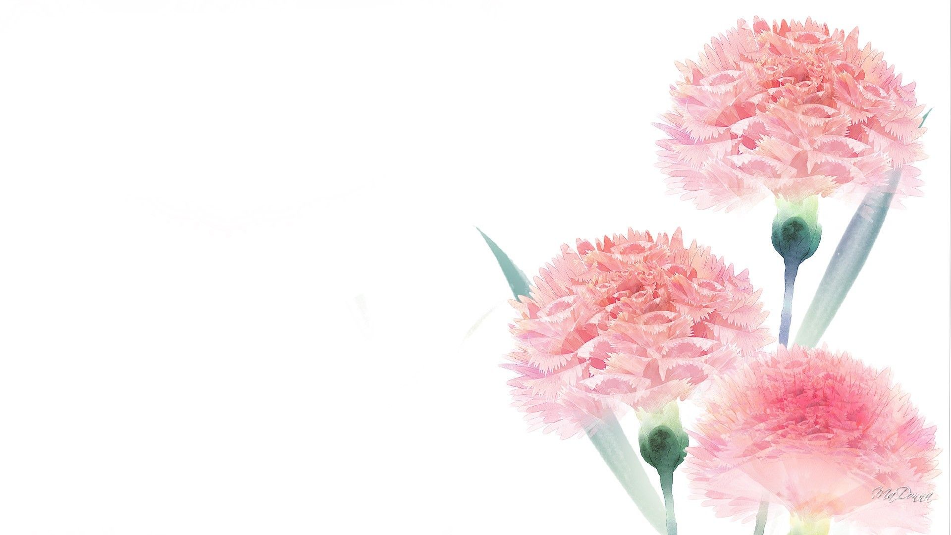 Simple Flower Wallpapers