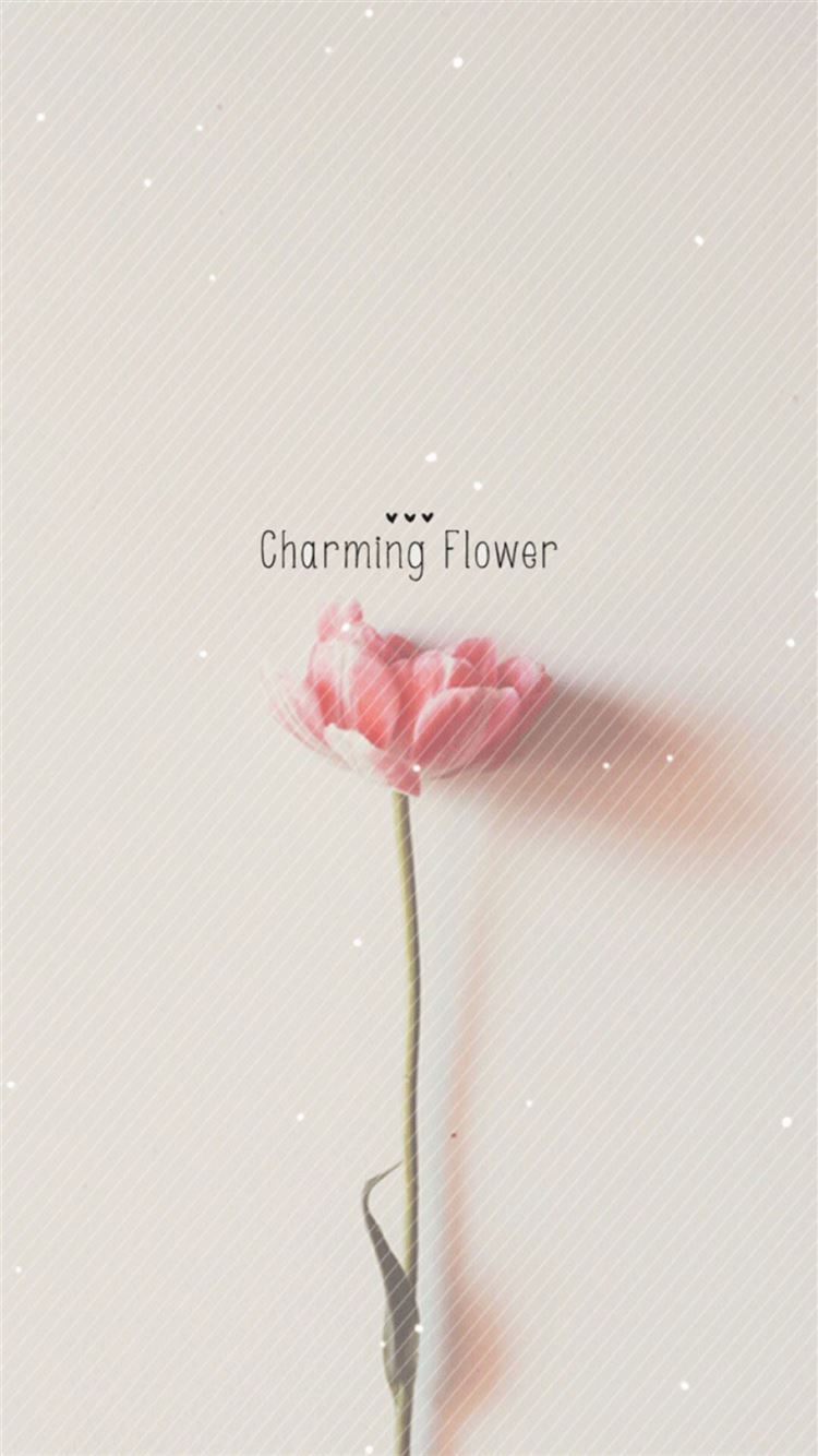 Simple Flower Wallpapers