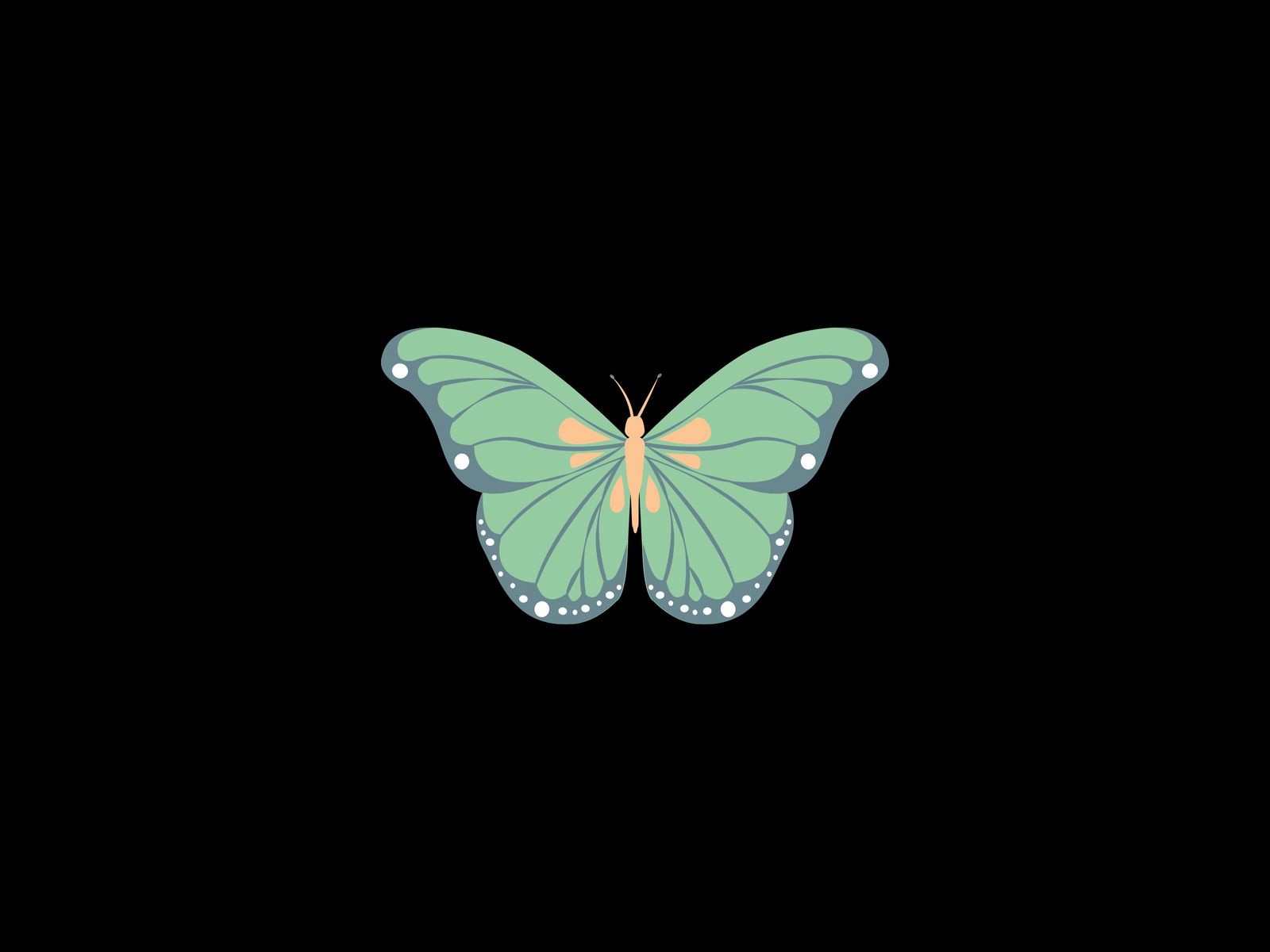 Single Butterfly Wallpapers