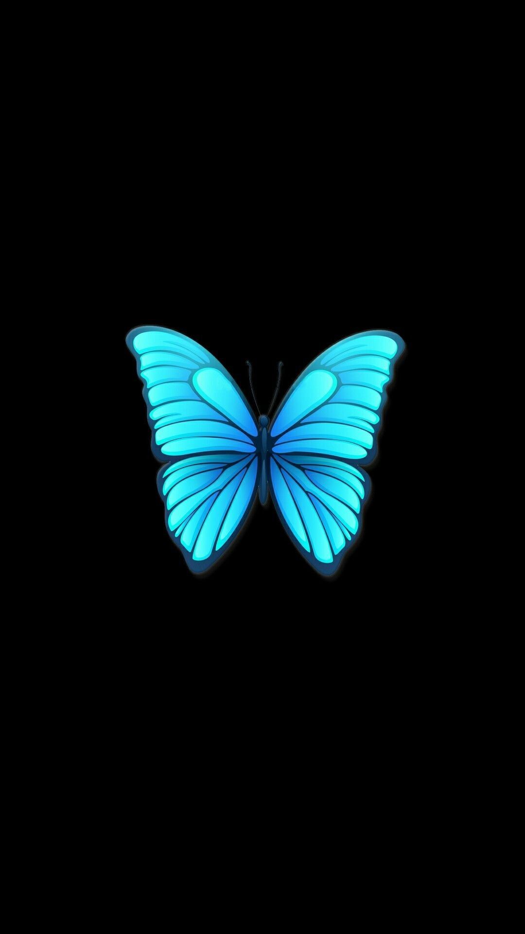 Single Butterfly Wallpapers