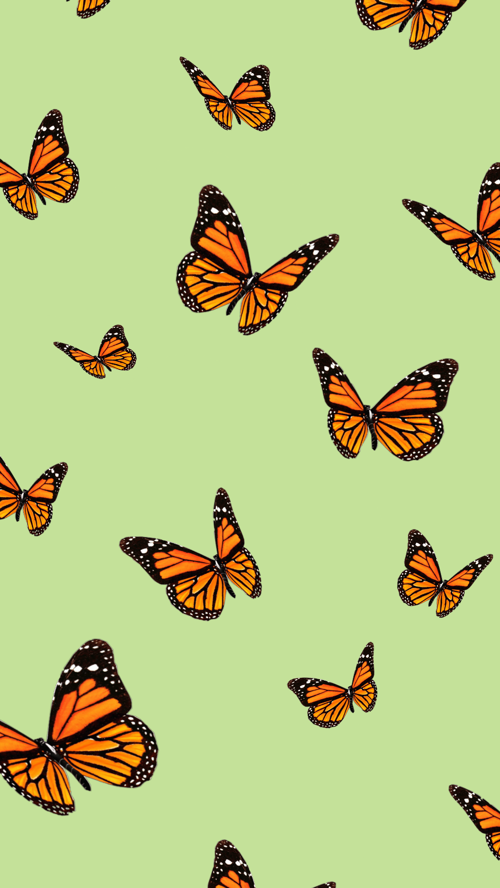 Single Butterfly Wallpapers