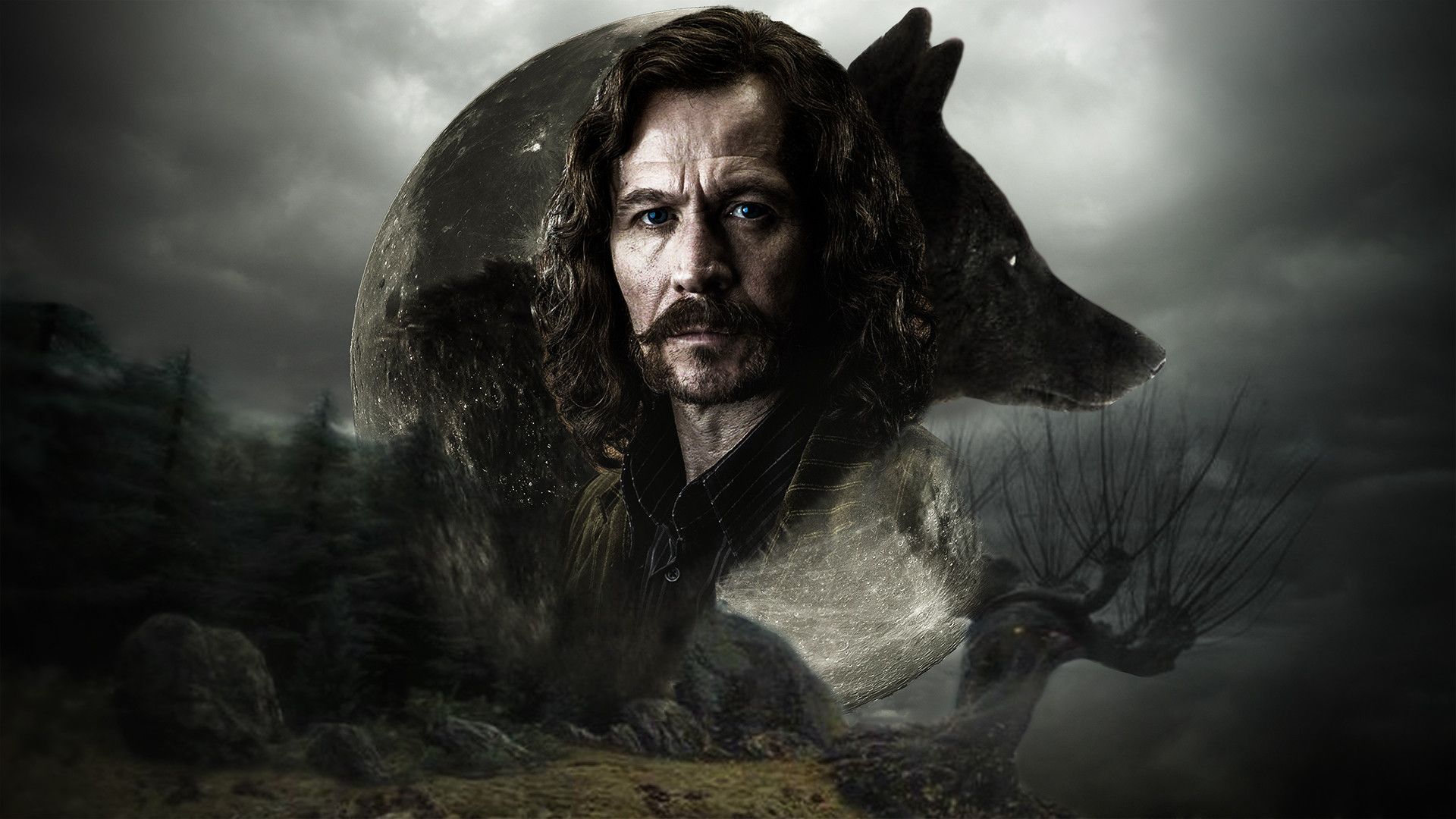 Sirius Black Wallpapers