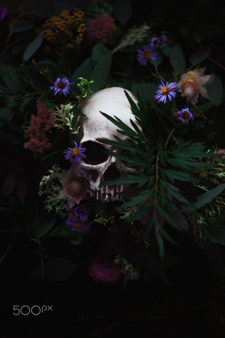 Skull And Flower Wallpapers