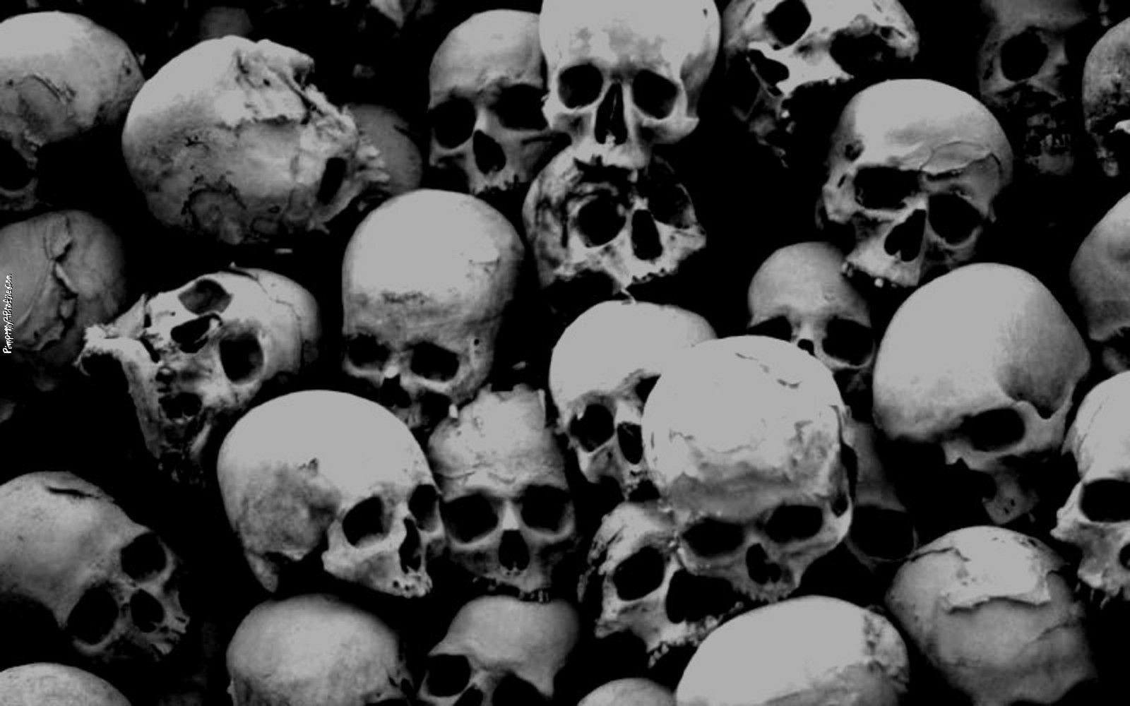 Skull Tumblr Wallpapers