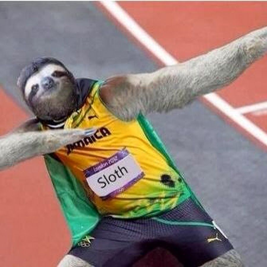 Sloth Dabbing Wallpapers