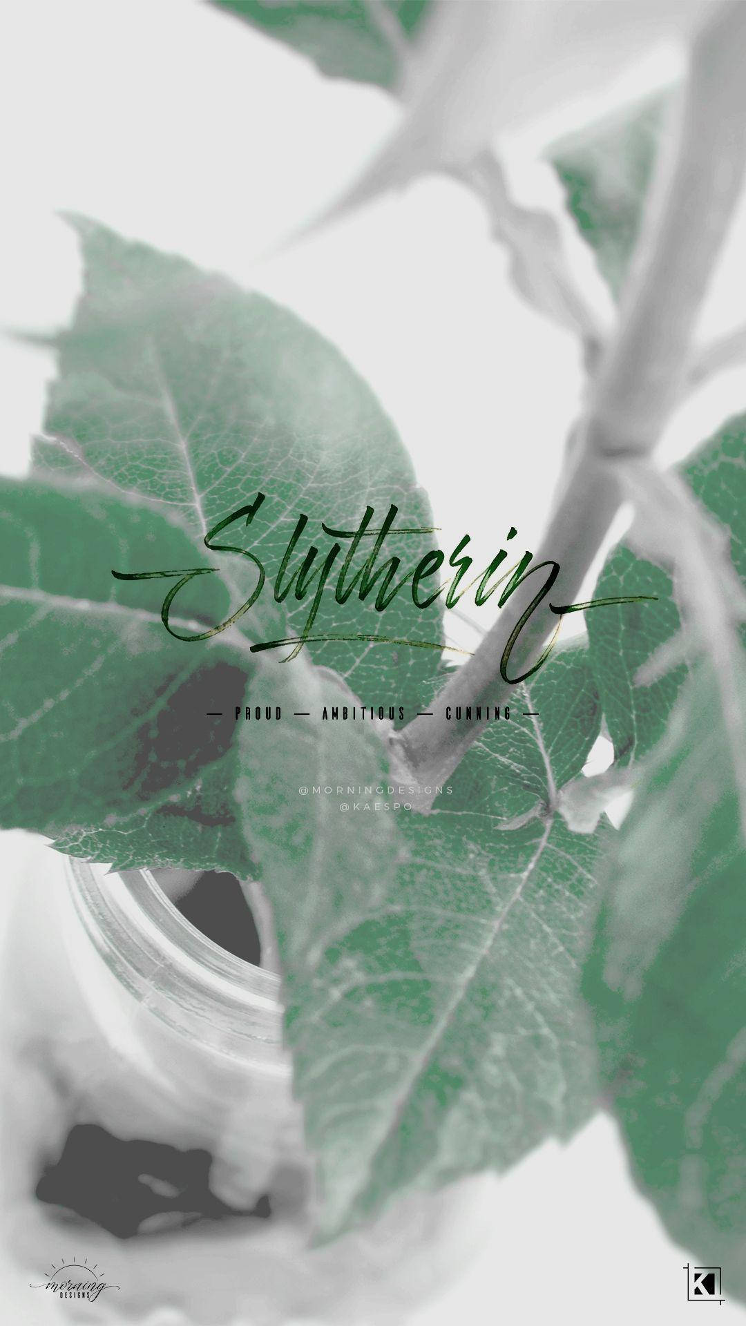 Slytherin Aesthetic Wallpapers