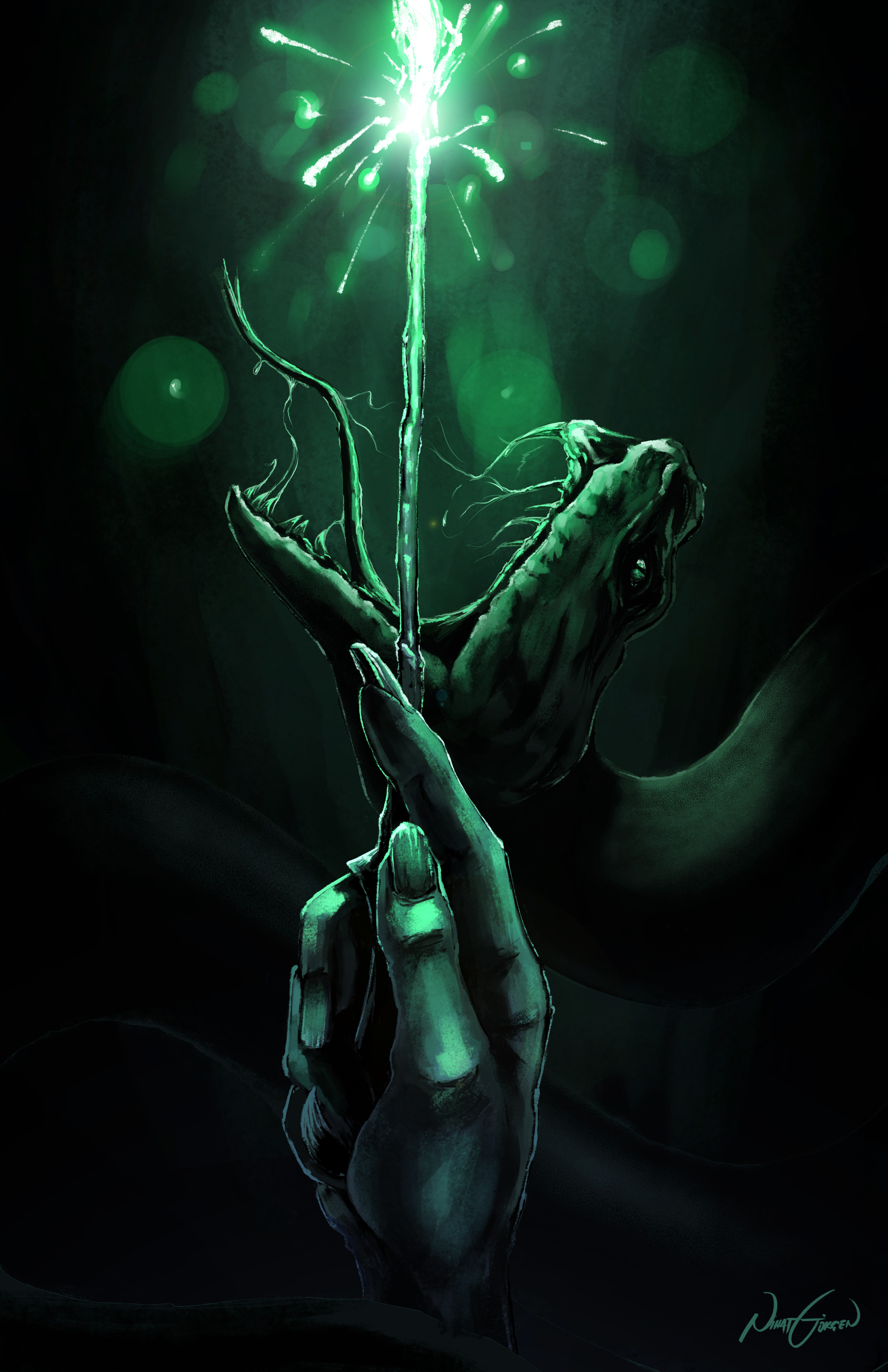 Slytherin Lockscreen Wallpapers