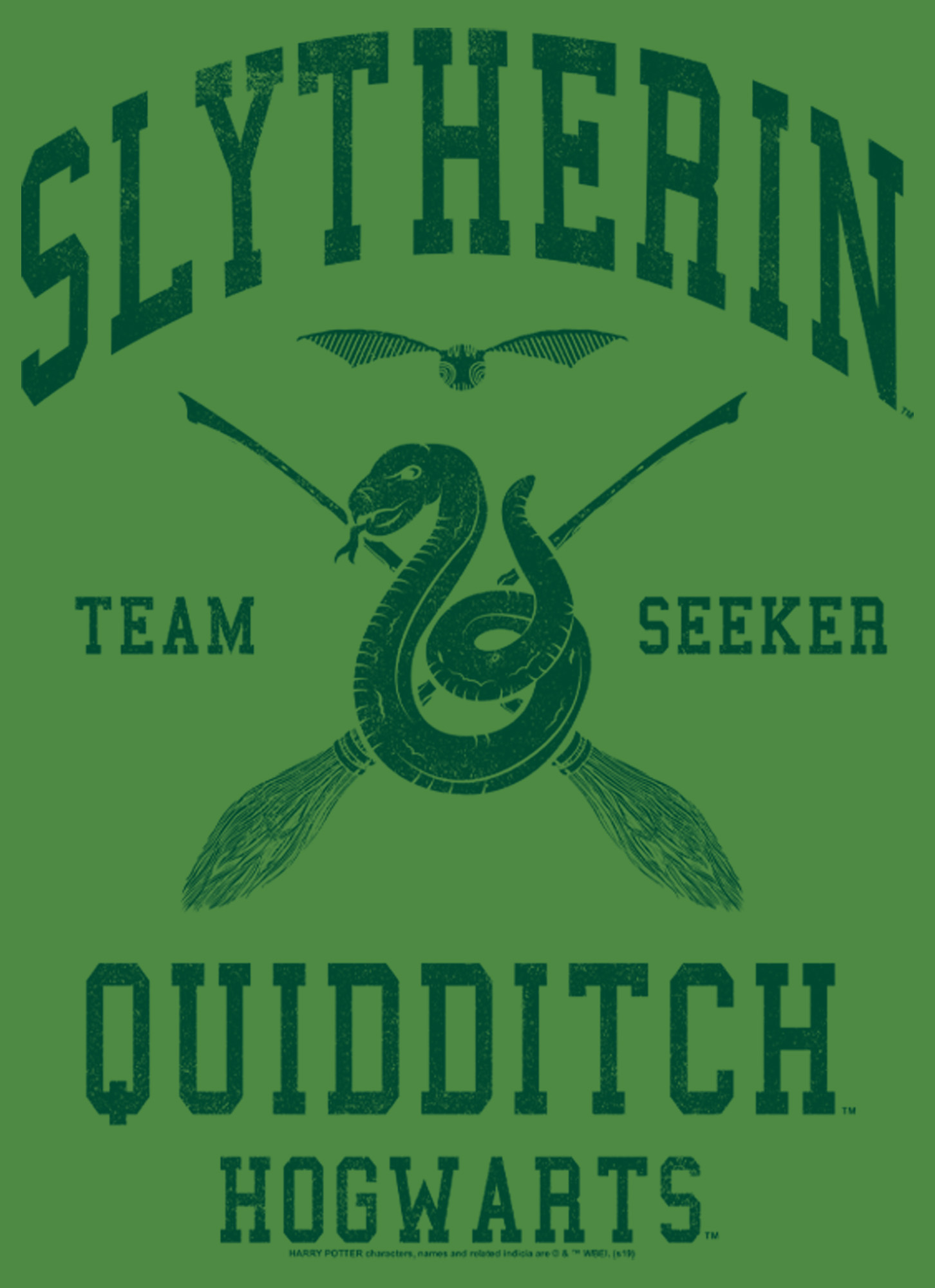 Slytherin Quidditch Wallpapers