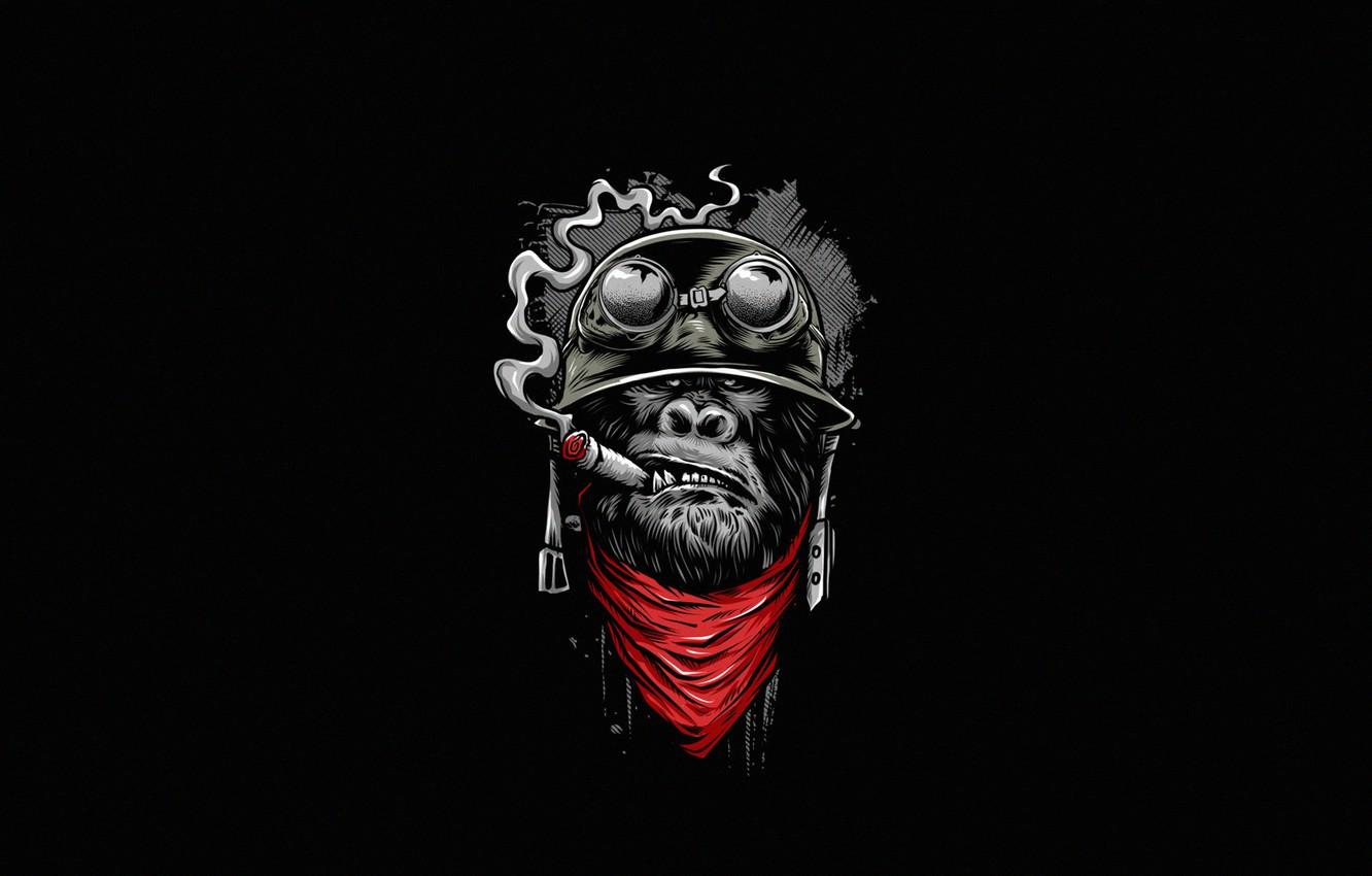 Smoking Monkey Wallpapers