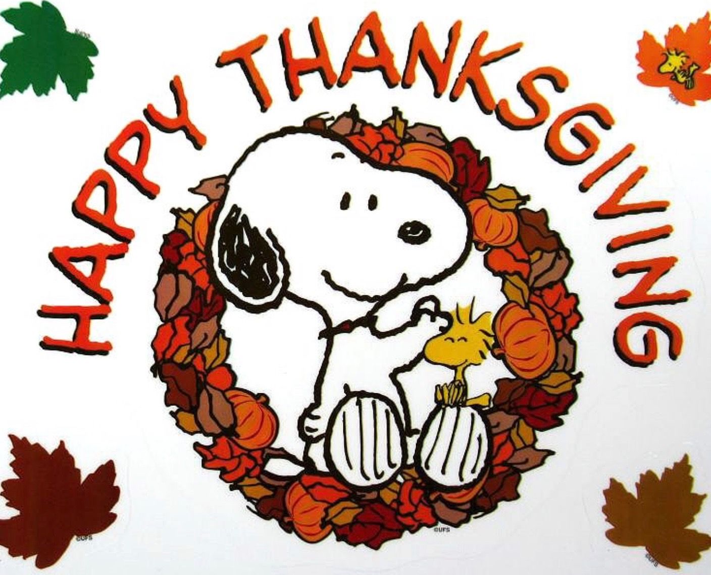 Snoopy Thanksgiving Pic Wallpapers