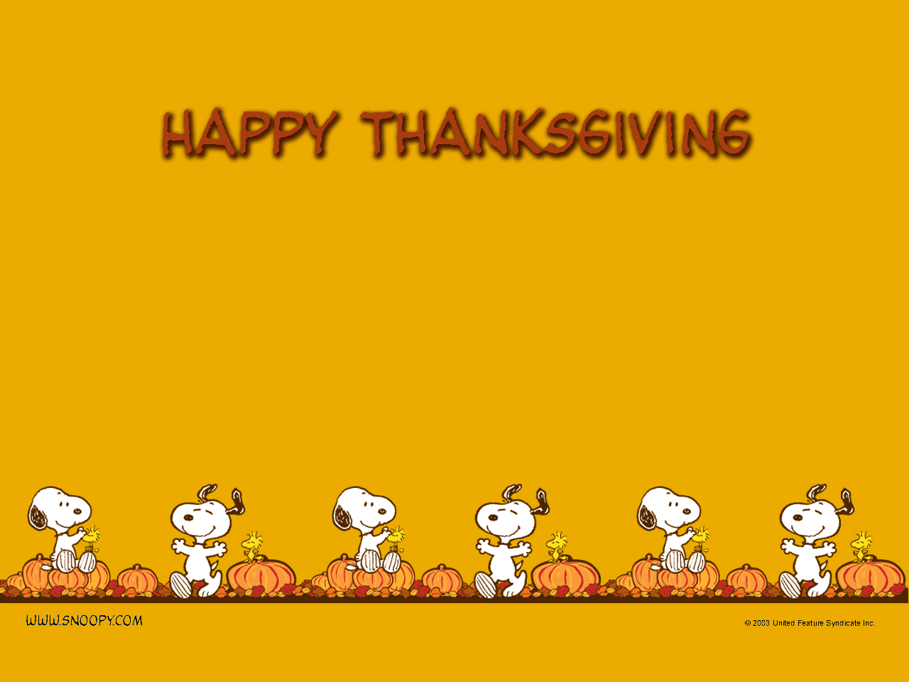 Snoopy Thanksgiving Pic Wallpapers