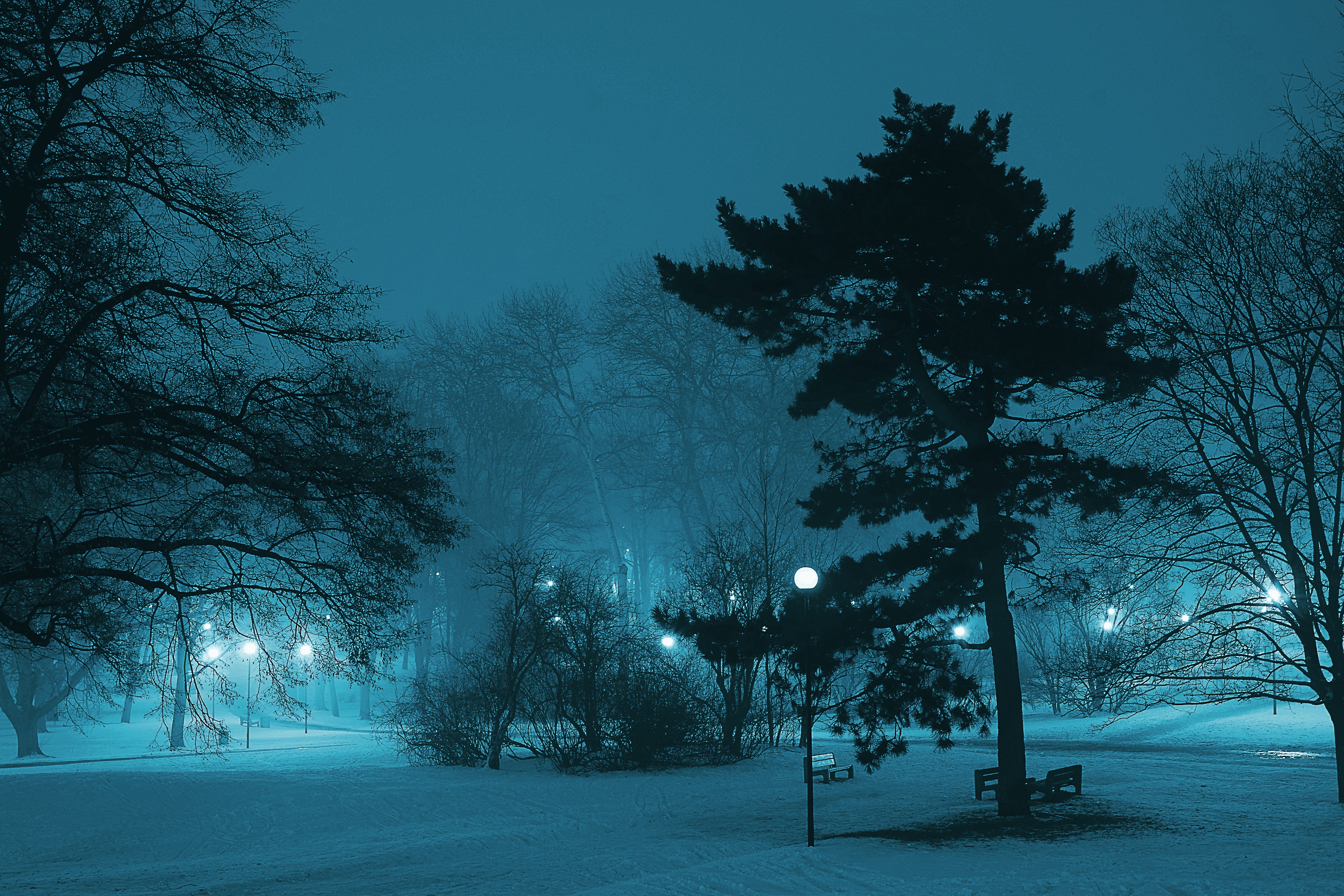 Snow At Night Wallpapers