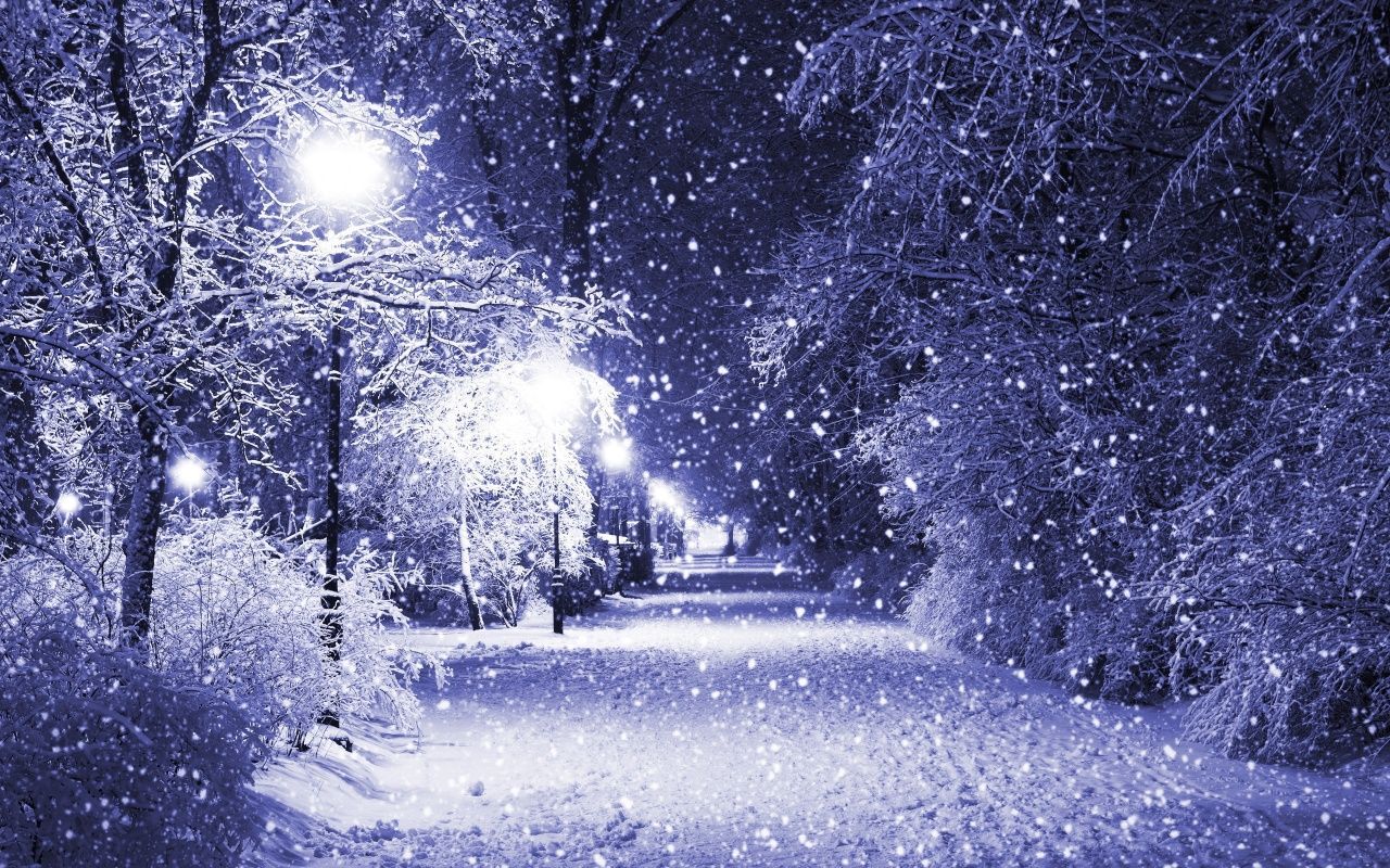 Snow Falling Wallpapers