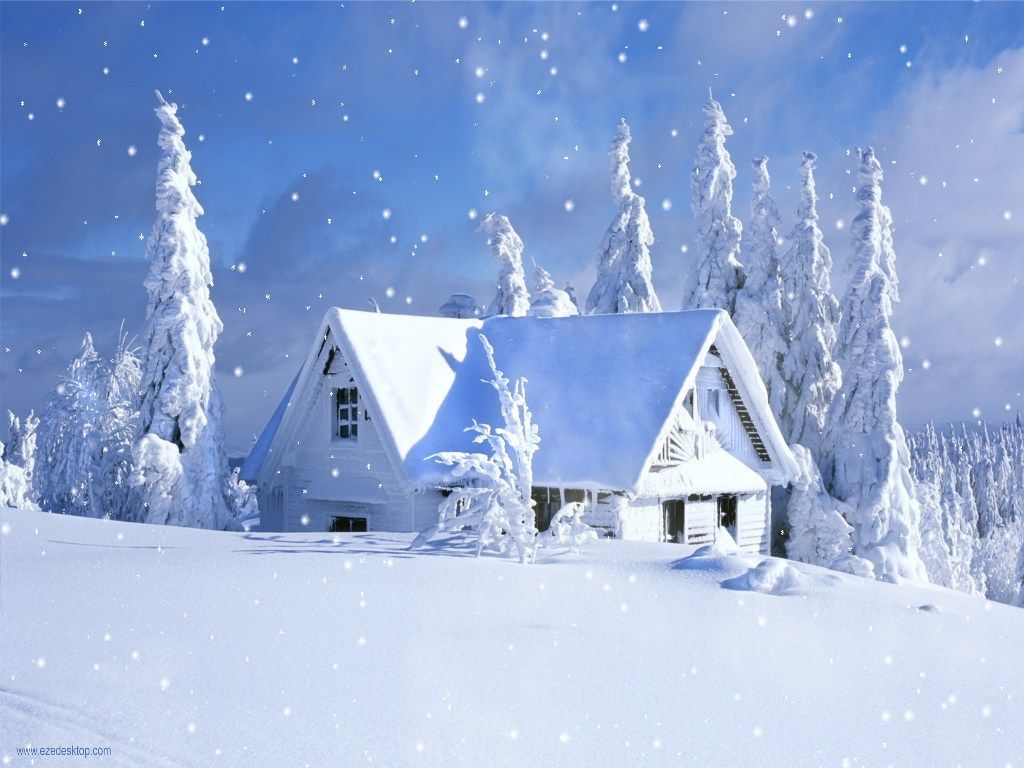 Snow Falling Wallpapers