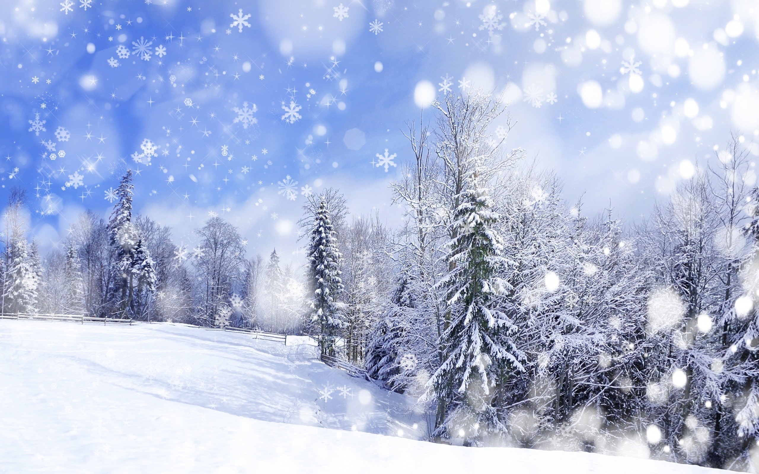 Snow Falling Wallpapers