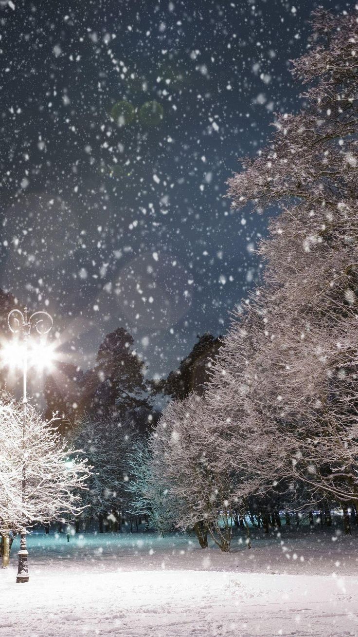 Snow Falling Wallpapers