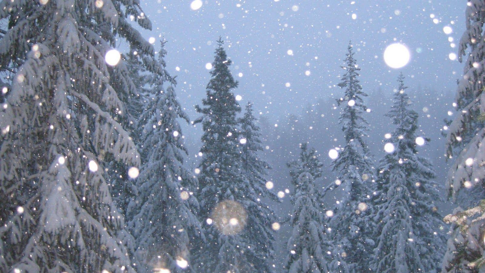 Snow Falling Wallpapers