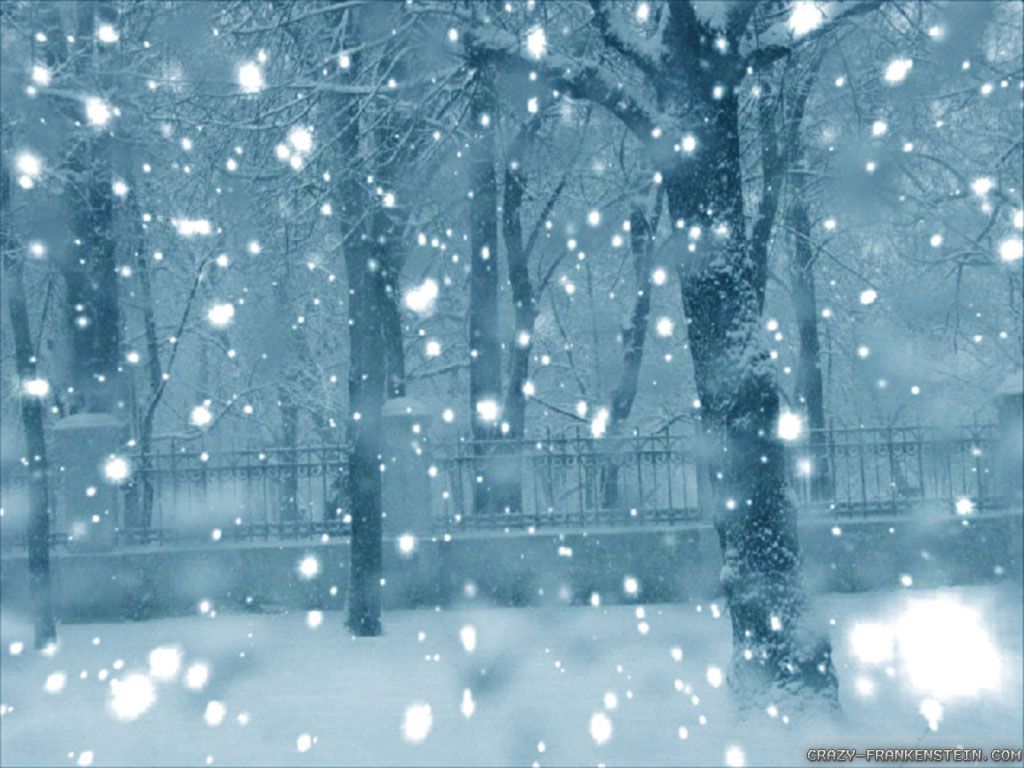 Snow Falling Wallpapers