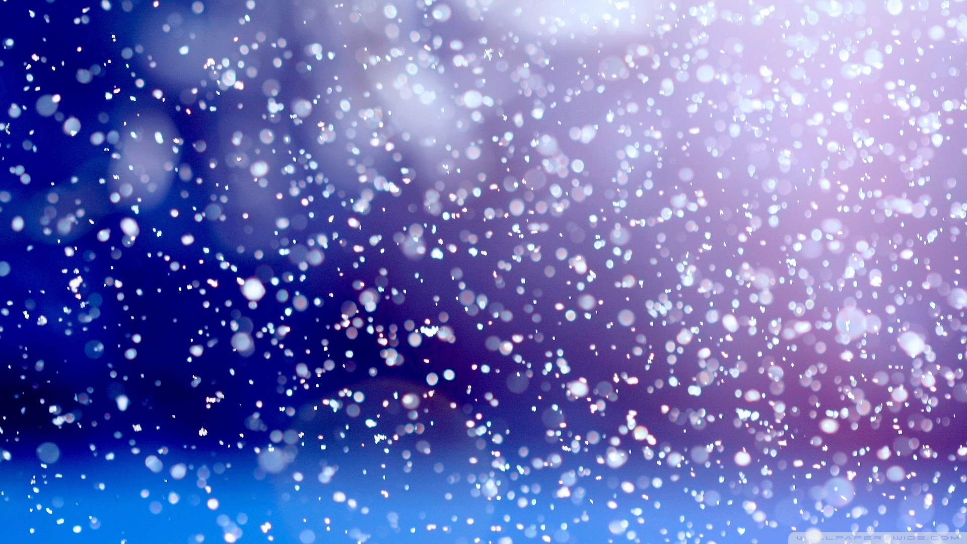 Snow Falling Wallpapers